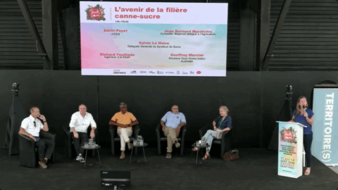[NOU LÉ LOCAL] L’avenir de la filière canne-sucre – Syndicat du Sucre