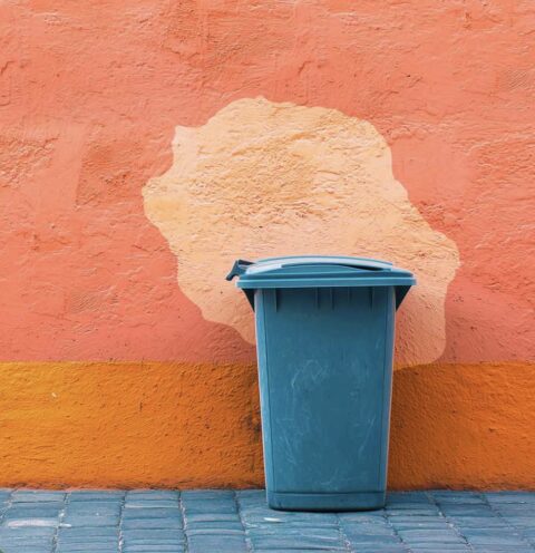 GESTION DES DÉCHETS : UN ENJEU POUR LA RÉUNION GESTION DES DÉCHETS : UN ENJEU POUR LA RÉUNION