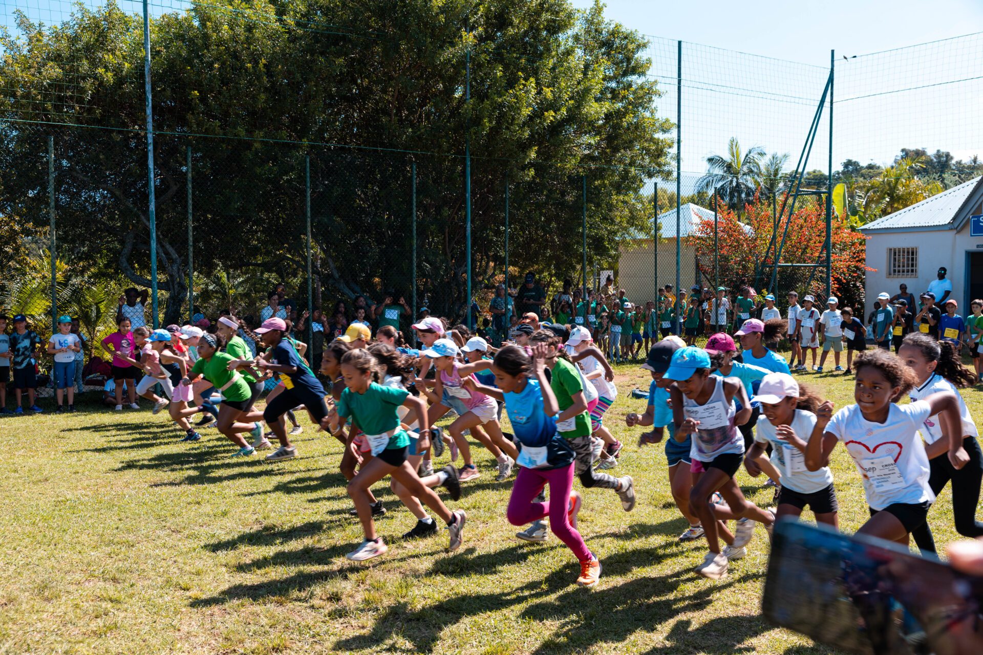 Le CROSS USEP de la Zone Sud 2026 : une matinée sportive au cœur de la jeunesse tamponnaise Le CROSS USEP de la Zone Sud 2026 : une matinée sportive au cœur de la jeunesse tamponnaise