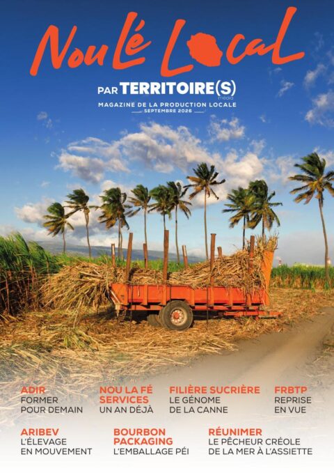 TERRITOIRE(S) Nou lé local – Septembre 2026 TERRITOIRE(S) Nou lé local – Septembre 2026