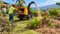 Jardinage : Faites broyer vos végétaux à domicile !